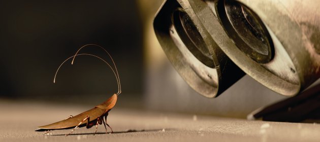 wall-e-cockroach